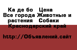 Ка де бо › Цена ­ 25 - Все города Животные и растения » Собаки   . Краснодарский край